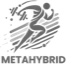MetaHybrid